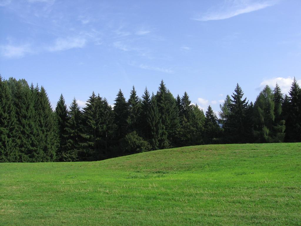 Hotel Concordia Levico Terme Buitenkant foto